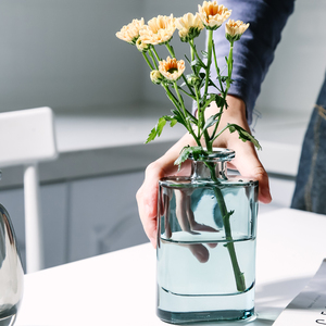 花瓶玻璃透明小细口插花干花香薰桌面客厅摆件家居北欧创意简约