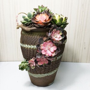 缺口悬崖桩花盆粗陶多肉法师老桩超特大号小号透气吸水素烧陶瓷紫