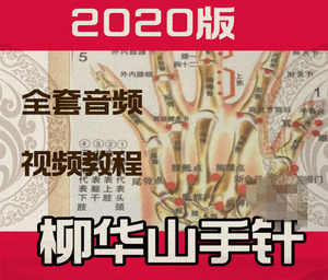 民间中医技法研究会柳华山手针视频教学教程讲课近100集针灸更新