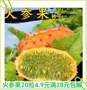 火参果种子20粒4.9元原厂彩包非洲蜜瓜种籽刺角瓜火星果籽海参果