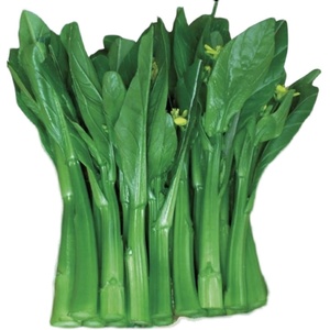 尖叶油青甜菜心