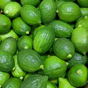 广东香水柠檬一级果精选奶茶店专用无籽新鲜清青柠檬鲜果广州江门