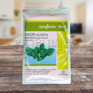 帝沃2号菠菜种子二号大黑圆叶先正达丹麦进口蔬菜籽耐热地波菜孑