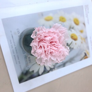 康乃馨永生花母亲节妈妈 单朵4-5cm 5-6cm一朵价永生花diy材料