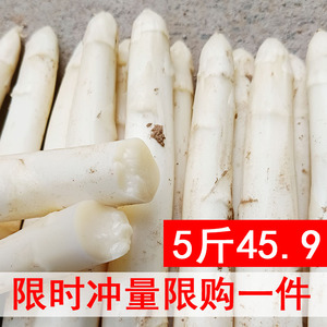 白芦笋新鲜蔬菜山东曹县特产农家现挖现发龙须菜包邮5斤3时令嫩笋