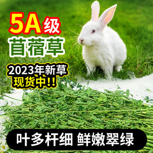 兔粮烘干苜蓿草兔子龙猫荷兰猪牧草干草饲料成兔幼兔粮食物新草