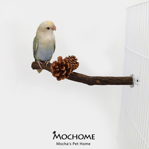 MOCHOME松花站杆鸟用磨爪杆鹦鹉啃咬玩具鹦鹉树枝站杆实木站杆