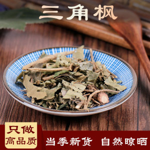 三角枫中药