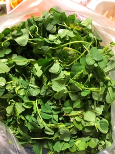 新鲜特菜 新鲜草头 苜蓿草 500g