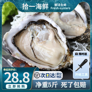 乳山生蚝鲜活10新鲜牡蛎生吃特大整箱6斤海蛎子广东海鲜水产商用