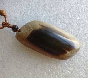 天然木化玉挂件硅化木原石树化石木化石吊坠新疆戈壁石金丝玉挂坠