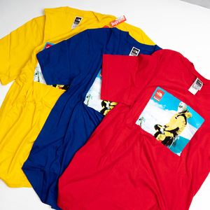 supreme 现货 18fw tnf photo tee 北面联名 图片短袖 t恤
