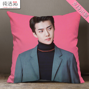 吴世勋应援抱枕头来图定制明星周边同款居家宿舍沙发大靠垫含枕芯