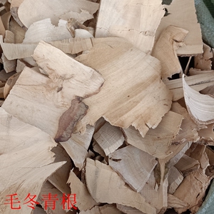 毛冬青根 别名六月霜 广西山熊胆 酸味木 米碎丹 切片晒干500克件