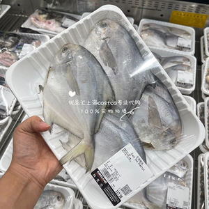 每天现买 冰鲜东海鲳鱼 海鲜河鲜水产上海costco代购开市客