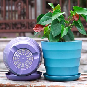 一次性花盆塑料大号特大号超大2023新款高档网红防烂根种植育苗杯