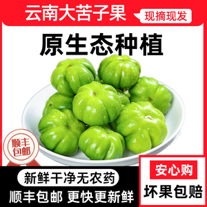 顺丰包邮云南傣族特色野菜大苦子果新鲜食用酸汤农家自种苦茄子