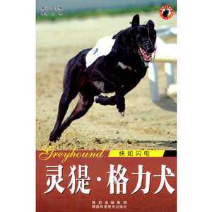 【正版现货】世界名犬-灵提格力犬 王晓