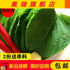 【山苏子叶】山苏子叶品牌,价格 - 阿里巴巴