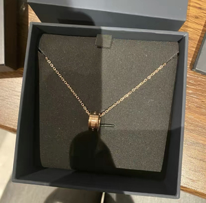 danielwellington丹尼尔惠灵顿dw项链女简约玫瑰金锁骨链生日礼物