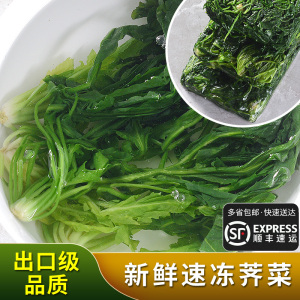 速冻荠菜4斤冷冻新鲜野菜野荠菜馅馄饨饺子馅荠荠菜食材 野菜馅