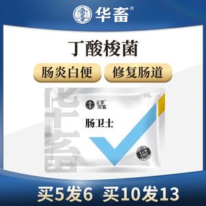 丁酸梭菌鱼虾蟹调理肠道对虾白便肠炎空肠空胃调节水产养殖益生菌