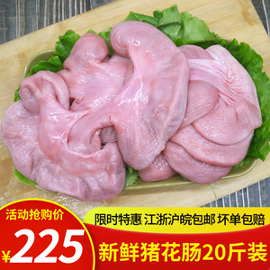 菊花脆脆肠串串火锅菜品烧烤食材配菜猪小肠生肠儿肠新鲜冷冻20斤