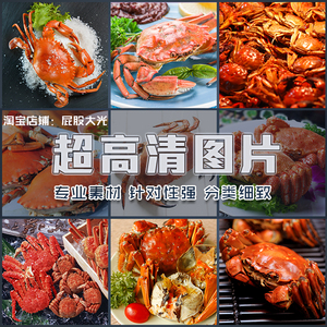 超大超高清图片螃蟹大闸蟹帝王蟹青蟹毛蟹海鲜水产品餐饮美食素材