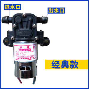 农用电动喷雾器水泵 12伏高压抽水机 打药机电机 大功率小隔膜泵