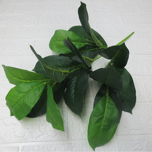 田园香泡树枝叶仿真叶香橼树叶子枝条塑胶柚子树支造树叶子