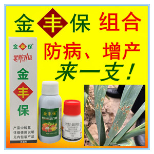 金丰保组合玉米大蒜锈病药小麦赤霉病大豆花生叶斑病专用药杀菌剂