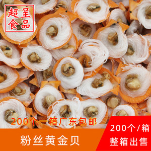 冷冻大扇贝粉丝扇贝新鲜黄金贝200粒烧烤自助餐商用食材广东包邮