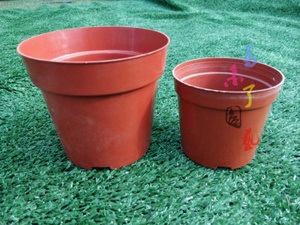塑料花盆园艺花盆优质实用花盆硬质塑料育苗盆种植多肉绿植小圆盆