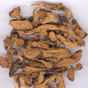 中药材批 发骨碎补 500克新鲜野生石岩姜猴姜毛姜申姜 免邮可磨粉