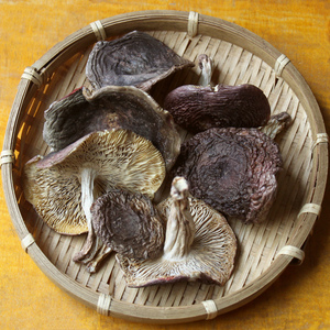 云南大理农家土产山货野生青面梨菇干煲汤食用菌火锅菜散装150g新