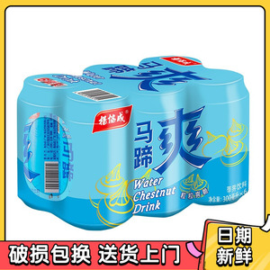 杨协成马蹄爽荸荠果汁果肉饮料300ml*6罐整箱清爽解油腻岭南风味