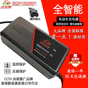 迈考林电动车电瓶充电器48V12A20A60V72V32A45A三轮大功率老年车