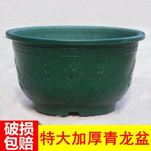特大号塑料花盆加大加厚烤漆青龙缸盆阳台种植发财树果树木青菜盆