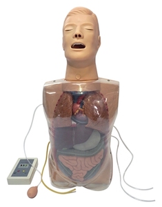 三腔二囊管训练模型H82胃底压迫止血胃镜检查洗胃练习教学模型