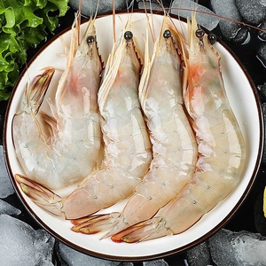 海水虾 红尾虾 五斤 一斤12只左右