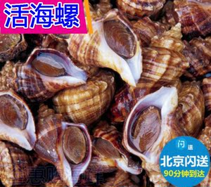 红螺海鲜