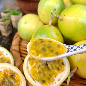 云南版纳新鲜黄金百香果芭乐味5斤净重大果包邮现摘现发一件代发