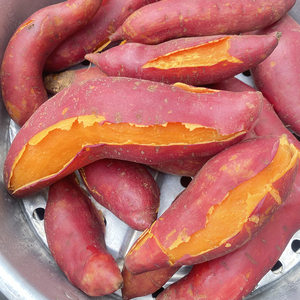 云南高原农家种植西瓜红红薯蜜薯软甜没有筋地瓜现挖新鲜番薯包邮