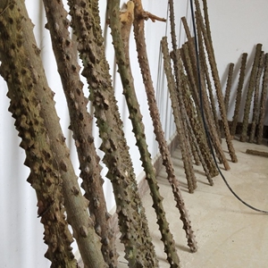 花椒木手棍老人实木拐杖手掌把玩拐棍健身保健拍经络穴位按摩棒