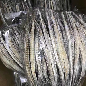 大号六角海龙干货500g包邮野生正品海龙干海龙泡酒料有海燕海麻雀