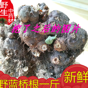 第二件半价四川正品 新鲜叶野兰蓝荞 金桥荞麦根药材500克包邮