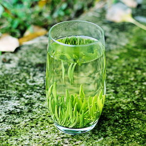 桐庐明前一级雪水云绿茶春茶叶2023年新茶特级绿茶针形茶叶150g