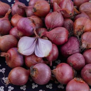 manager2000淘宝老店广东粤西特产新鲜小红葱头怕波亮1斤药用农产品
