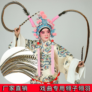 戏曲翎子京剧越剧豫剧武生武旦花翎翎座古装舞蹈戏剧鸡毛翎毛羽毛