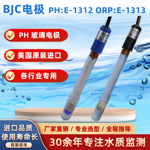 BJC E-1312-EC1-M10ST工业PH电极 HOTEC合泰PH-101原配探头传感器